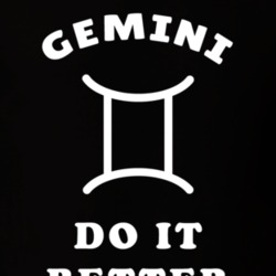Gemini Do It Better Zodiac Funny T Shirt