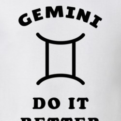 Gemini Do It Better Zodiac T Shirt