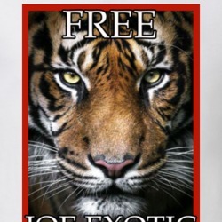 Tiger King Free Joe Exotic Mugshot Fan T Shirt