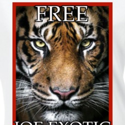 Tiger King Free Joe Exotic Mugshot Fan Ladies T Shirt