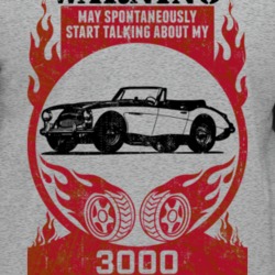 Austin Healey 3000 Warning May Start Talking About My Car Worn Look T 
