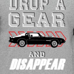 1979 Pontiac Firebird Trans Am Drop A Gear And Disappear Car Enthusias