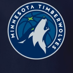 Minnesota Timberwolfes Tee Men's Nba Team Logo T Shirt