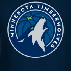 Minnesota Timberwolfes Tee Men's Nba Team Logo Long Sleeve T Shirt