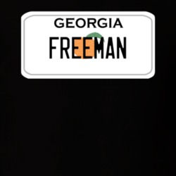 Freeman Georgia Custom Name License Plate Customizable T Shirt