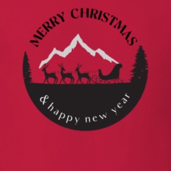 Merry Christmas And A Happy New Year T Shirt