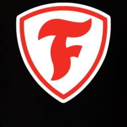 Firestone Tires Logo Fan Vintage T Shirt