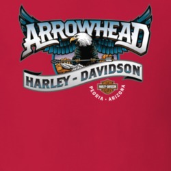 Arrowhead Harley Davidson Logo T Shirt Gift For Motorcyclist Shirt For