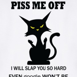 Piss Me Off I Will Slap You So Hard Even Google Won&acirc;t Be Abl