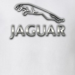 Jaguar Logo Cool Men Gift T Shirt