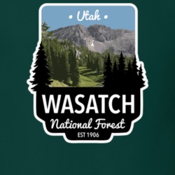 Wasatch National Forest Wasatch Utah T Shirt