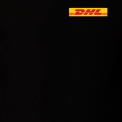 Dhl Cool Small Logo T Shirt