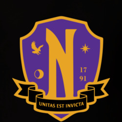 Nevermore Academy University Tee Wednesday Addams Logo T Shirt
