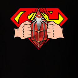 Superman And Spiderman Cool Logo T Shirt