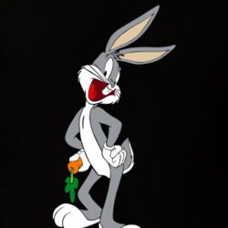 Vintage 90s Bugs Bunny Cartoon T Shirt