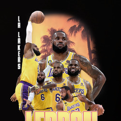 Lebron James Vintage Cool Tee, Lebron James King La T Shirt