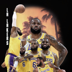 James Vintage Cool Tee, Lebron James King La  T Shirt