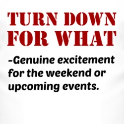 Turn Down For What Definition T Shirt