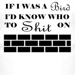 If I Was A Bird T Shirt