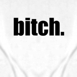 Bitch Ladies T Shirt