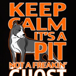 Keep Calm It's A PIT Not A Freakin Ghost T Shirt