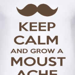 Keep Calm And Grow A Moustache Max Inspired  T Shirt