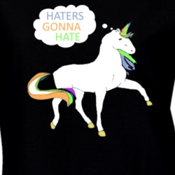 Haters Gonna Hate Taylor Swift Inspired T Shirt