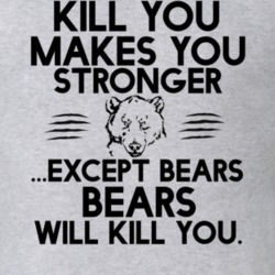 What Doesn't Kill You Makes Your Stronger Except Bears Bears Will Kill