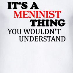 Its A Meninist Thing You Wouldnt Understand T Shirt
