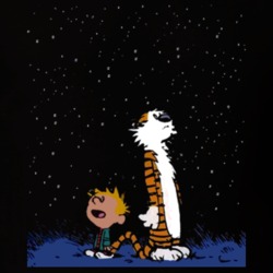 Calvin And Hobbes Stargazing T Shirt