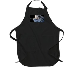 Kowalski Disconnecting Himself Gravity Iconic Movie Apron