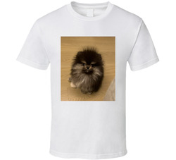 Bobaoppa Machi Big Brother Meme Dog T Shirt