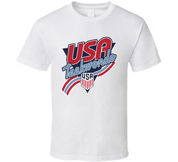 Team Usa Taekwondo Paris 2024 T Shirt