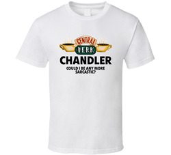 Chandler Could I Be Any More Sarcastic Friends Group Halloween Costume
