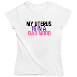 My Uterus Is In A Bad Mood Retro Unisex Classic Tee Ladies T Shirt