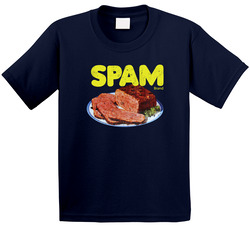 Spam Vintage Label Poster Worn Look Toddler Youth Kids T Shirt