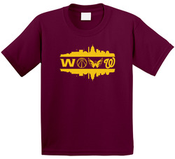 Washington Dc City All Professional Sports Teams Super Fan Toddler Youth Kids T Shirt