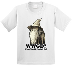 What Would Gandalf Do Lord Of The Rings Toddler Youth Kids T Shirt