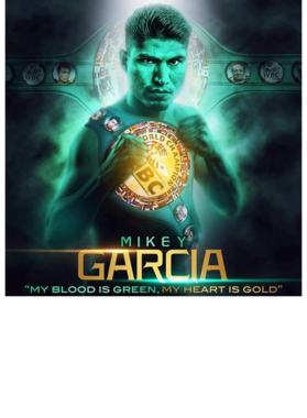 https://s3.us-west-1.wasabisys.com/ecart-content/bjjtshirt.com/overlays/374/616/37461602.png img