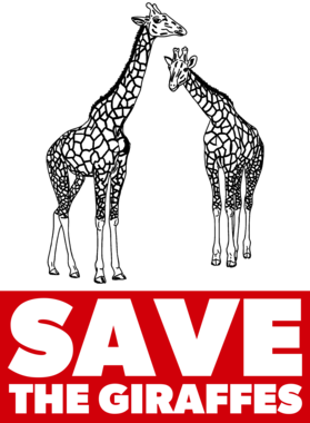 https://s3.us-west-1.wasabisys.com/ecart-content/bjjtshirt.com/overlays/374/655/37465591.png img