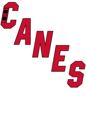 https://s3.us-west-1.wasabisys.com/ecart-content/bjjtshirt.com/overlays/374/913/37491311.png img