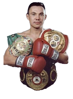 https://s3.us-west-1.wasabisys.com/ecart-content/bjjtshirt.com/overlays/374/993/37499384.png img
