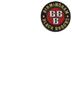 https://s3.us-west-1.wasabisys.com/ecart-content/bjjtshirt.com/overlays/375/225/37522509.png img