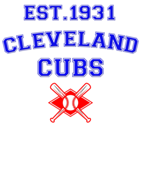 https://s3.us-west-1.wasabisys.com/ecart-content/bjjtshirt.com/overlays/375/293/37529337.png img