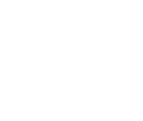 https://s3.us-west-1.wasabisys.com/ecart-content/bjjtshirt.com/overlays/375/822/37582222.png img