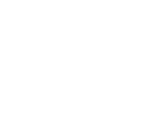 https://s3.us-west-1.wasabisys.com/ecart-content/bjjtshirt.com/overlays/375/822/37582225.png img