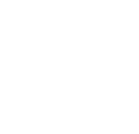https://s3.us-west-1.wasabisys.com/ecart-content/bjjtshirt.com/overlays/375/822/37582231.png img