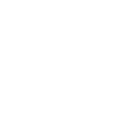 https://s3.us-west-1.wasabisys.com/ecart-content/bjjtshirt.com/overlays/375/822/37582232.png img