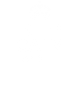 https://s3.us-west-1.wasabisys.com/ecart-content/bjjtshirt.com/overlays/377/083/37708380.png img