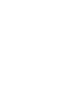 https://s3.us-west-1.wasabisys.com/ecart-content/bjjtshirt.com/overlays/377/083/37708388.png img